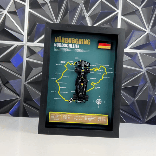 FramePAL - Mercedes Benz W14 | Varie tracce